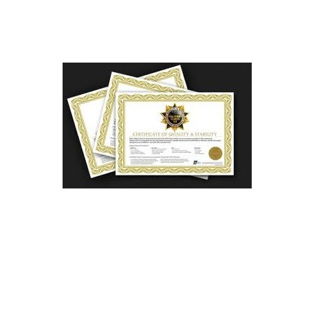 Verifikationscertifikat til Soehnle Class III vægte