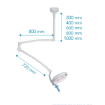 ML1000C - loft version